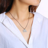 Horoscope necklace